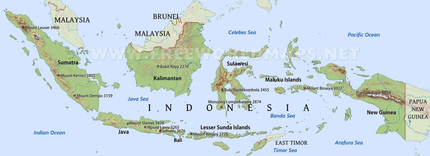 Loliload Logistics Indonesia