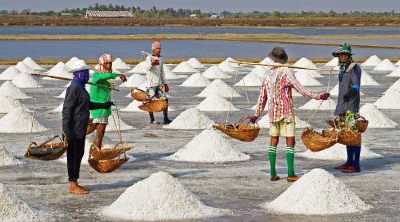 manfaat proses produki