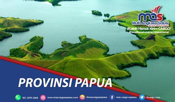 pengiriman barang Jakarta Papua cepat