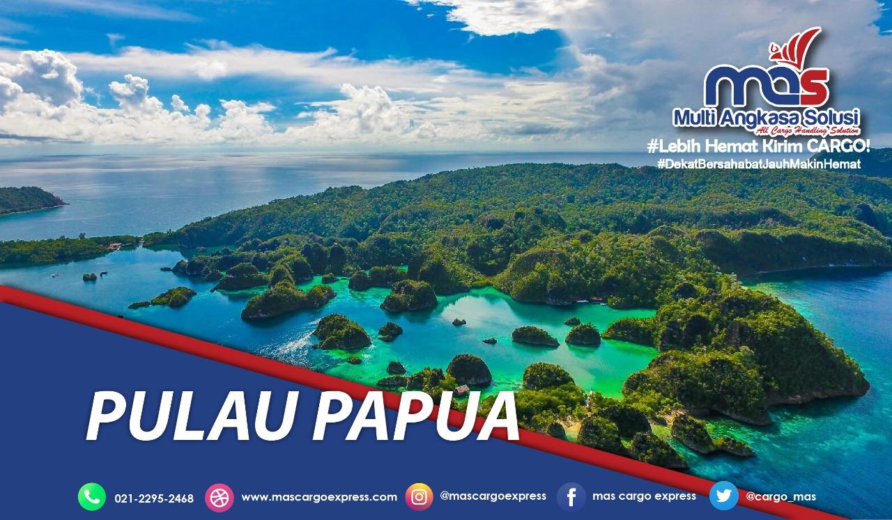 Pengiriman Barang Jakarta-Papua teraman