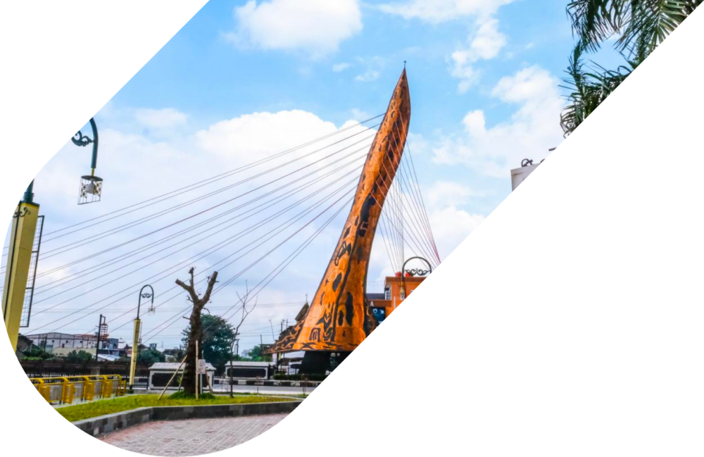 Banner Solo